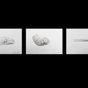 Thomas Fromm-Idee