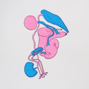 Elysia, Acrylstifte, 42 x 29,7 cm, 2022