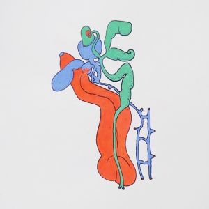 Ercolania, Acrylstifte, 42 x 29,7 cm, 2022