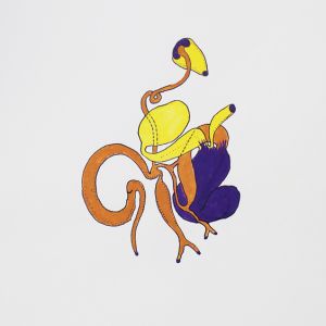 Bosellia, Acrylstifte, 42 x 29,7 cm, 2022