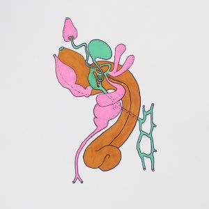 Ercolania, Acrylstifte, 42 x 29,7 cm, 2022