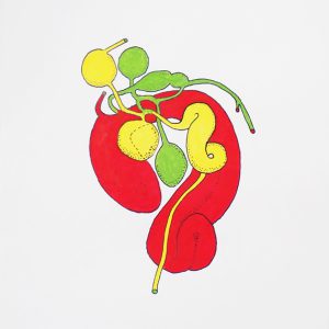 Hermaea, Acrylstifte, 42 x 29,7 cm, 2022