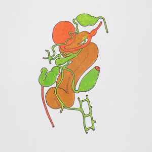 Caliphylla, Acrylstifte, 42 x 29,7 cm, 2022