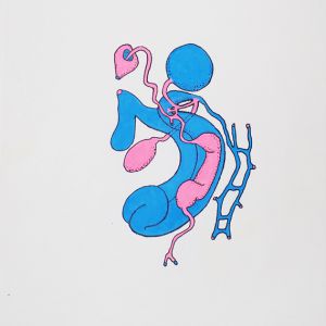 Ercolania, Acrylstifte, 42 x 29,7 cm 2022