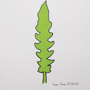 Philodendron, Acrylstifte auf Papier, 29,7 x 42 cm, 2023