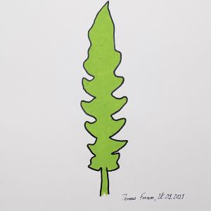 Philodendron, Acrylstifte auf Papier, 29,7 x 42 cm, 2023