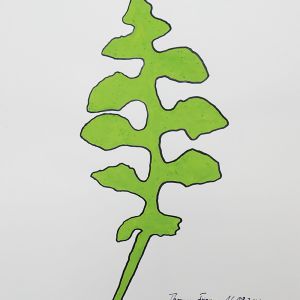 Prenanthes, Acrylstifte auf Papier, 29,7 x 42 cm, 2023