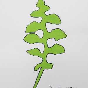 Prenanthes, Acrylstifte auf Papier, 29,7 x 42 cm, 2023