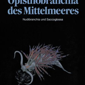 Abb.1: A. Portmann, L. Schmekel: Opisthobranchia des Mittelmeeres, Springer, Berlin, New York und Heidelberg, 1982