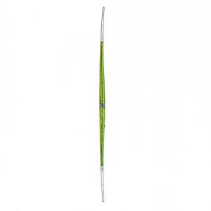 Closterium pronum Faserstifte DIN A4 2025